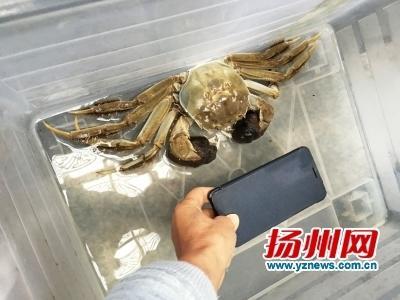 亚洲一区二区自拍偷拍