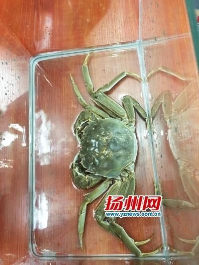 亚精品免费观看mV免