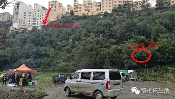 免费vps试用七天风驰
