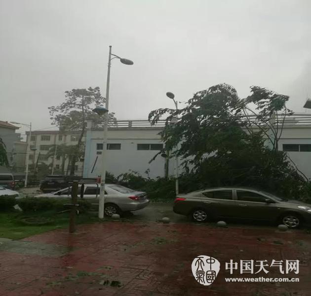 李梓熙
