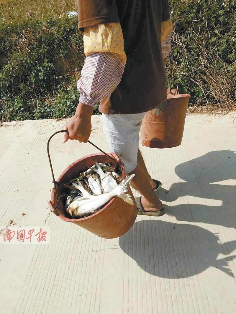黄色网站Aaa
