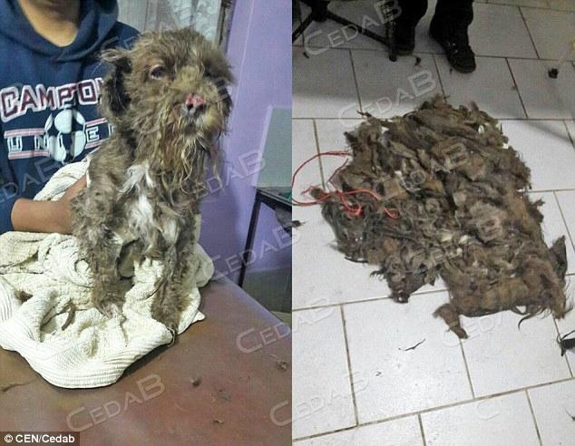 偷拍美女撒尿