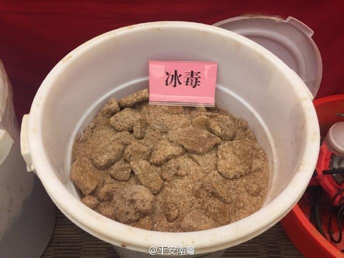 天天插天天干