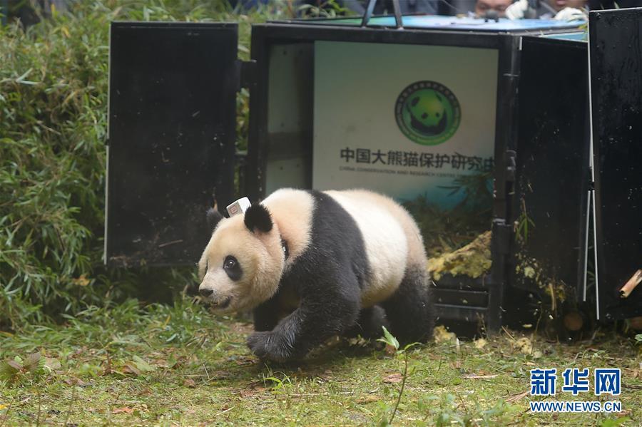 老头与老汉同性XXXXX