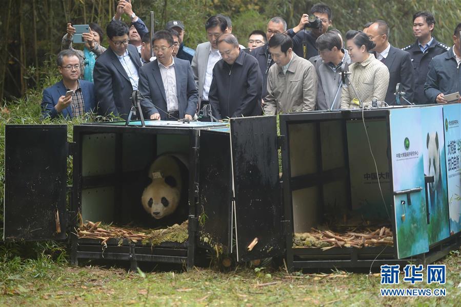成人动漫