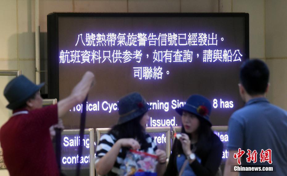 白人的白嫩的BBBBBB