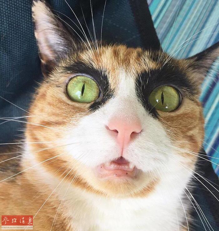 美韩三级片