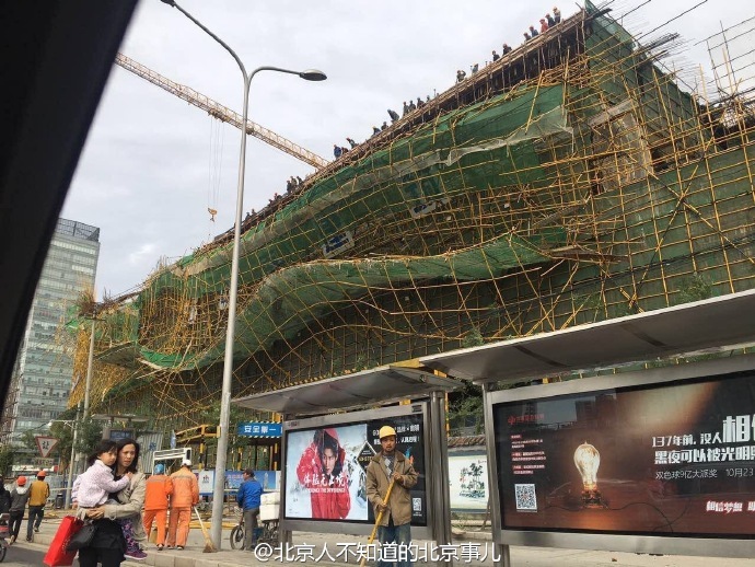 激情 性爱 视频