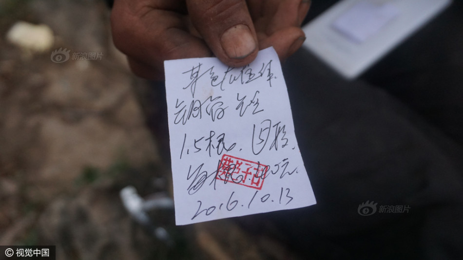 丰满少妇 麻豆av苏语棠