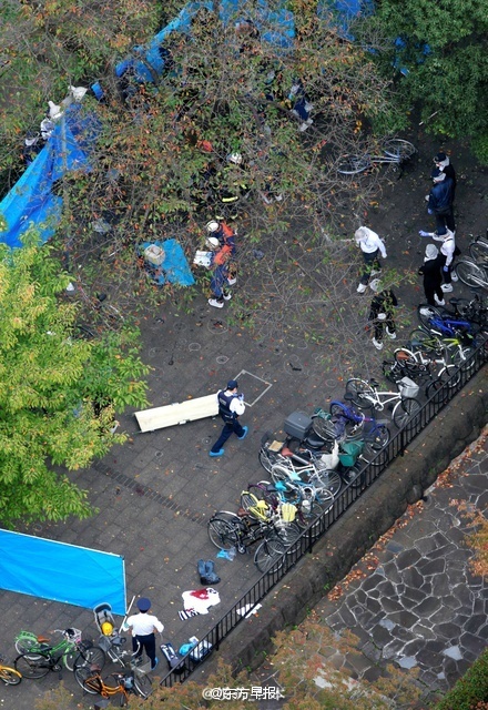 免费观看中国中老年人黄色视频