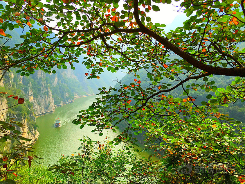 国产又大又粗又硬