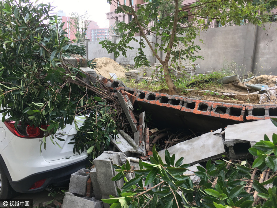 小猪视频app罗志祥代言2019