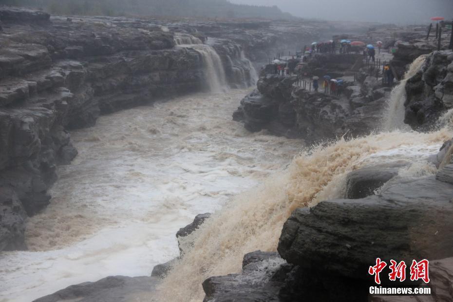 张筱雨露生殖特写