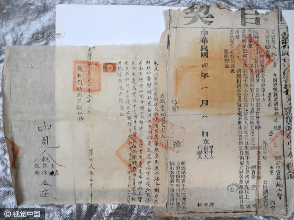 嫩草影院入口 懂你的