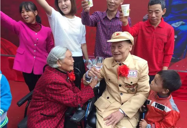 台灣小野貓