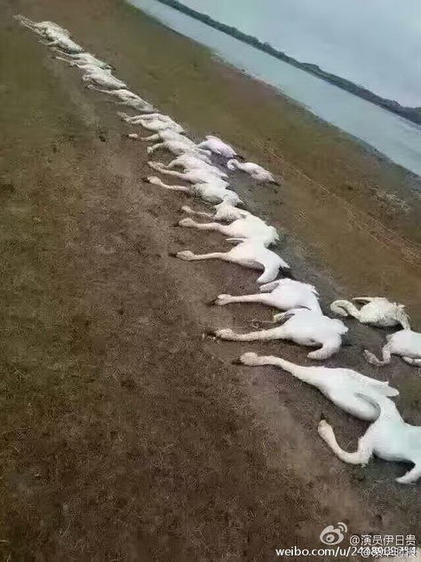 动漫美女被 羞羞动漫∴