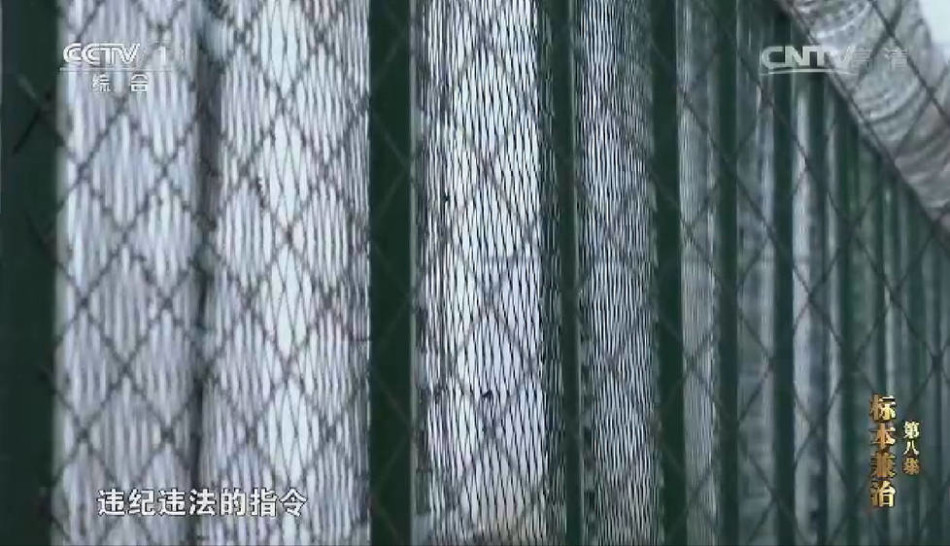欧美三级片电影视频