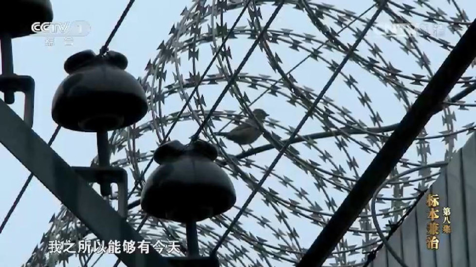 18     网站