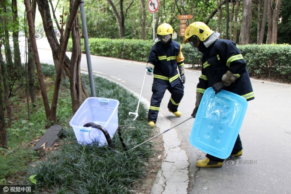 91人妻人人澡人人爽人人精品