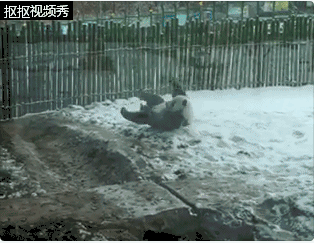 外国黄色网络