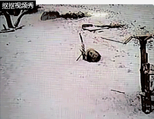 人人人操
