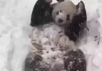 扒开老师 狂揉 911