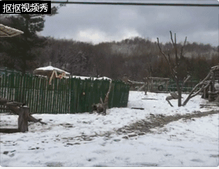 波多野结衣被猛烈进入高清播放