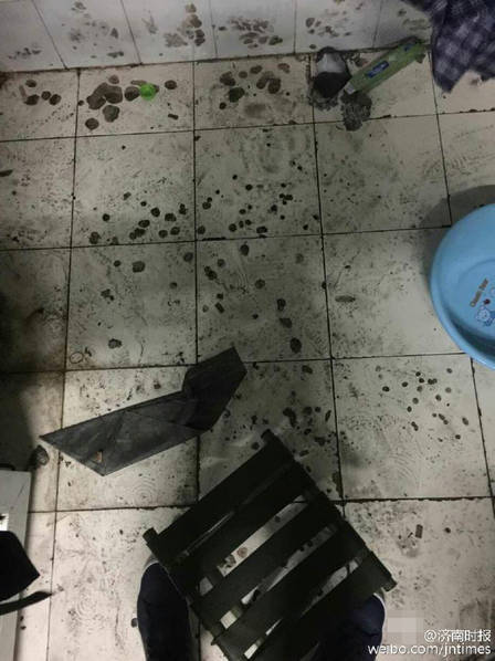 男男一起相嗟嗟嗟免费视看