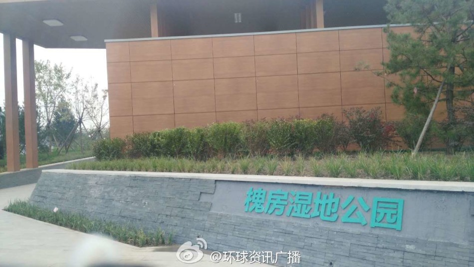 Chinese熟女老女人H?D