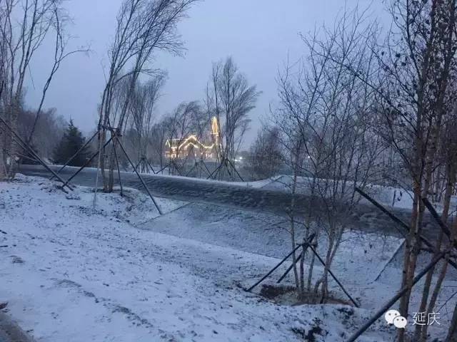 白嫩妇女雪白大白屁