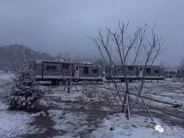 国产乱伦性爱视频网站