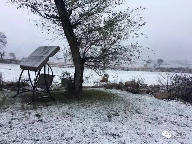 原神18禁
