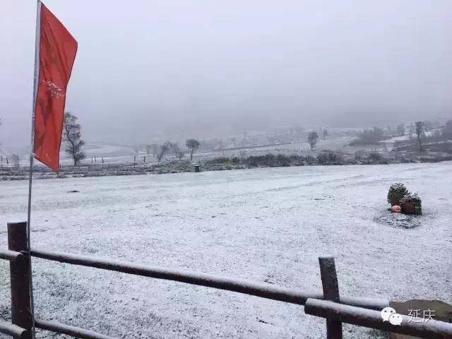 家庭乱伦中国