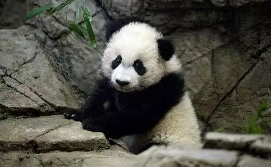 杨幂被狂c躁到高潮下不了床