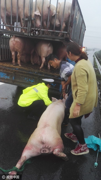 俘虏生活3.0汉化版免费下载