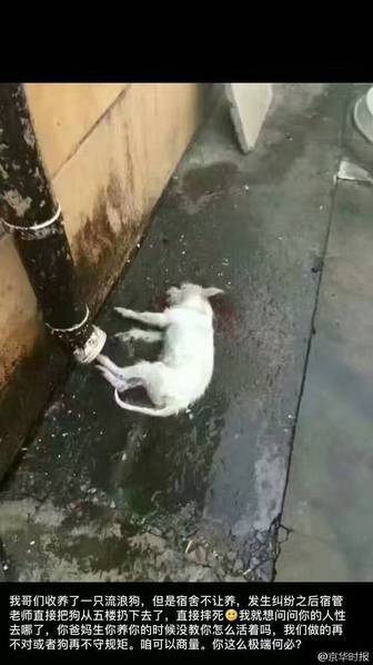 国产一区二区欧美