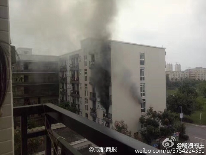 免费一看一级毛片