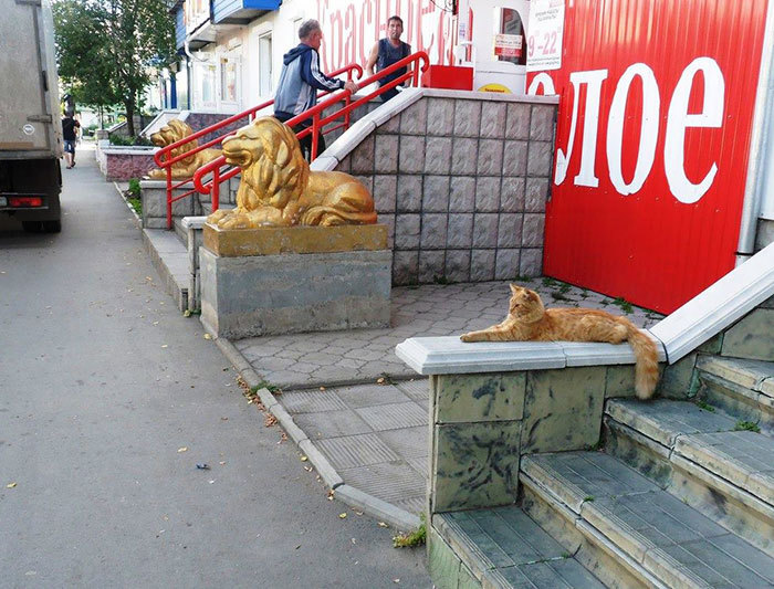 欧美性猛交XXXX