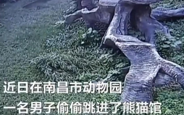 安徽妇搡BBBB搡BB