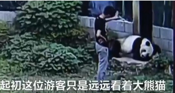 黄色网站100种