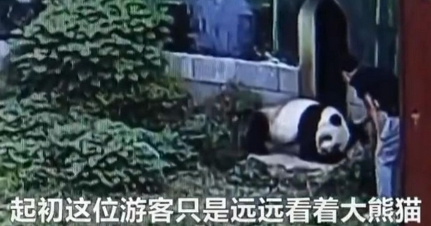 天堂中文在线资源