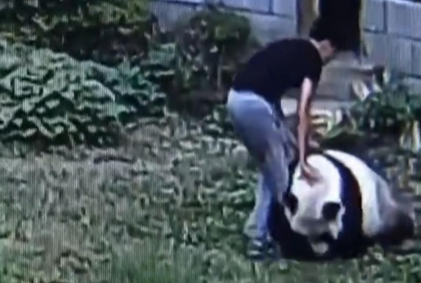 一级久久