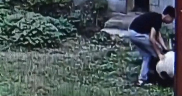 老狼信息网贰佰信息网大豆行情