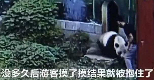 国产做a爰片久久毛片A我的朋友