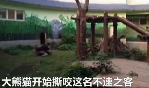 牛牛av