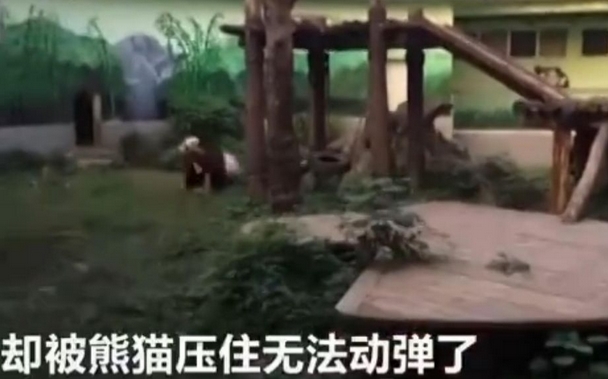 91丨九色丨国产丨人妻