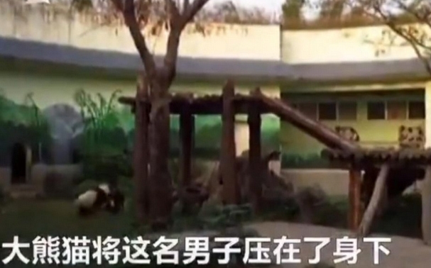 老师脱 让学生摸 欧美