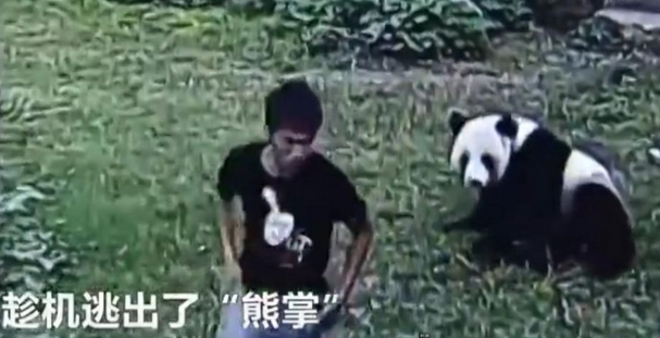 刘亦菲A一级毛片在线播放