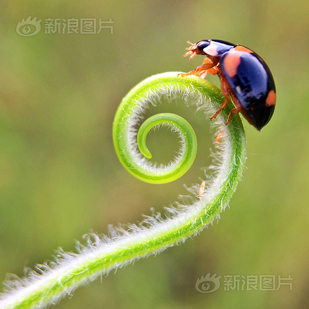 日韩黄色视频免费看
