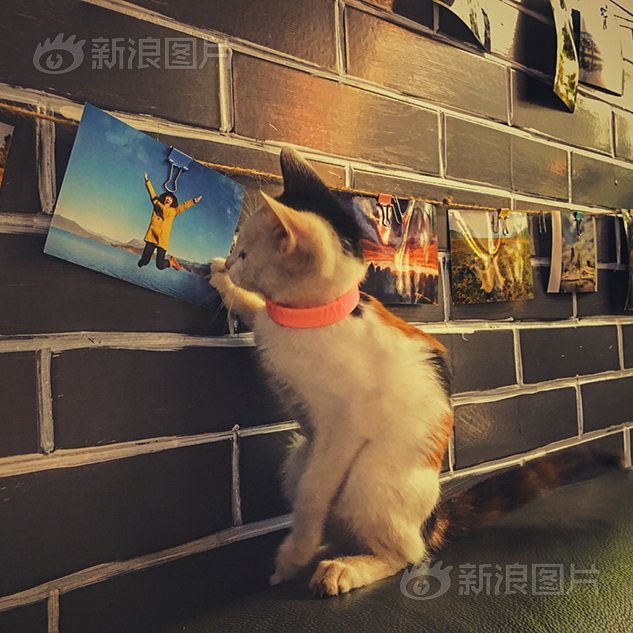 Free性老太Xx